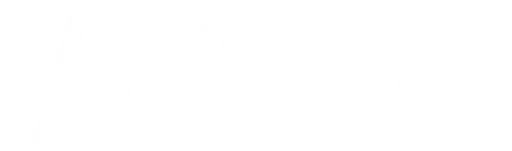 Akoni logosu